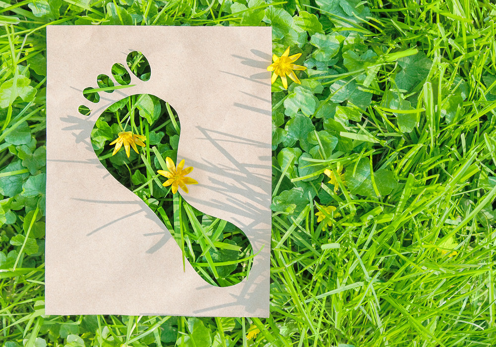 GRÜNdlich verpackt & verschickt