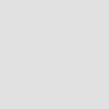 Light Grey _ RAL7035