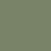 Reseda Green _ RAL6011